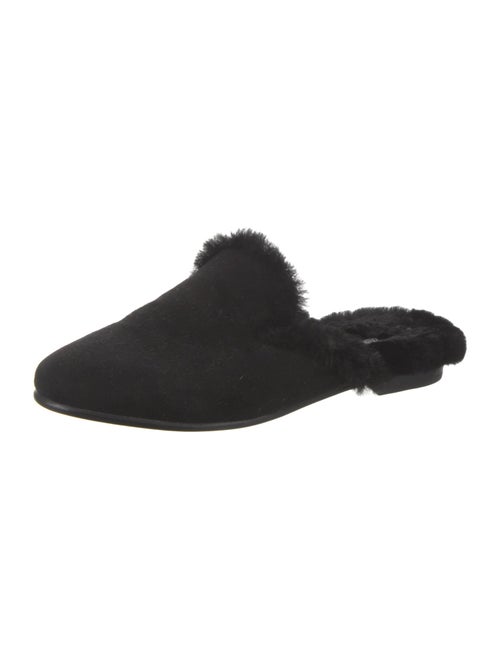 Manolo Blahnik Suede Mules