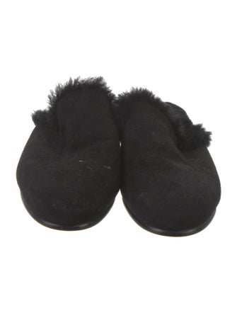 Manolo Blahnik Suede Mules