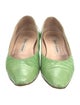Manolo Blahnik Crocodile Animal Print Ballet Flats