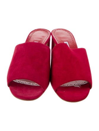 Manolo Blahnik Suede Slides