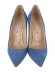 Manolo Blahnik Suede Pumps