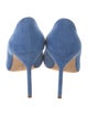 Manolo Blahnik Suede Pumps