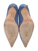 Manolo Blahnik Suede Pumps