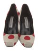 Manolo Blahnik Canvas Printed Pumps