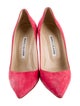 Manolo Blahnik Suede Pumps