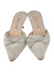 Manolo Blahnik Suede Mules