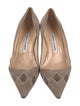 Manolo Blahnik Suede Pumps