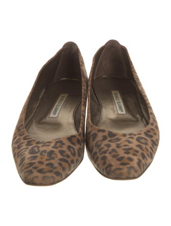 Manolo Blahnik Suede Animal Print Flats