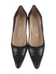 Manolo Blahnik Suede Pumps