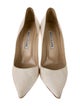 Manolo Blahnik Python Pumps