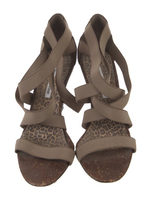 Manolo Blahnik Pumps