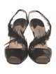 Manolo Blahnik Snakeskin Feather Trim Slingback Sandals