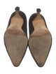 Manolo Blahnik Suede Pumps