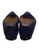 Manolo Blahnik Suede Mary Jane Flats