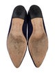 Manolo Blahnik Suede Mary Jane Flats