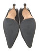 Manolo Blahnik Suede Pumps