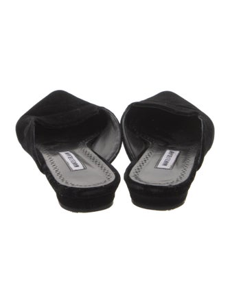 Manolo Blahnik Velvet Mules