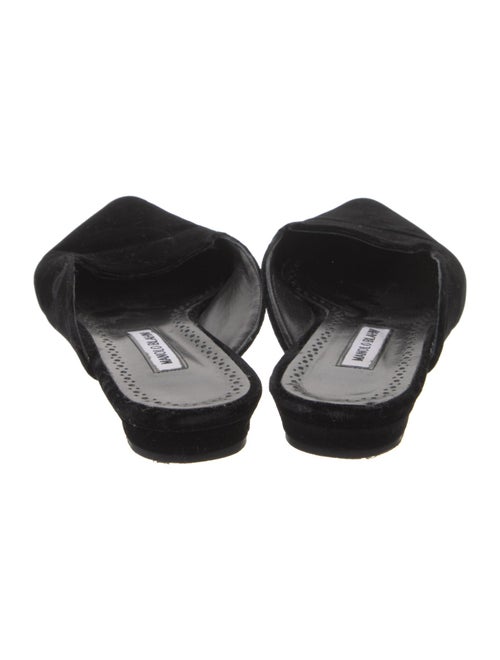 Manolo Blahnik Velvet Mules