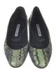 Manolo Blahnik Snakeskin Animal Print Flats