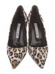 Manolo Blahnik Animal Print Pumps