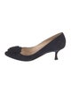 Manolo Blahnik Suede Pumps