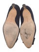 Manolo Blahnik Suede Pumps