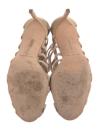 Manolo Blahnik Suede Pumps