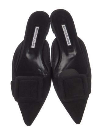 Manolo Blahnik Maysale Suede Mules