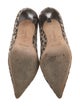 Manolo Blahnik Canvas Animal Print Pumps