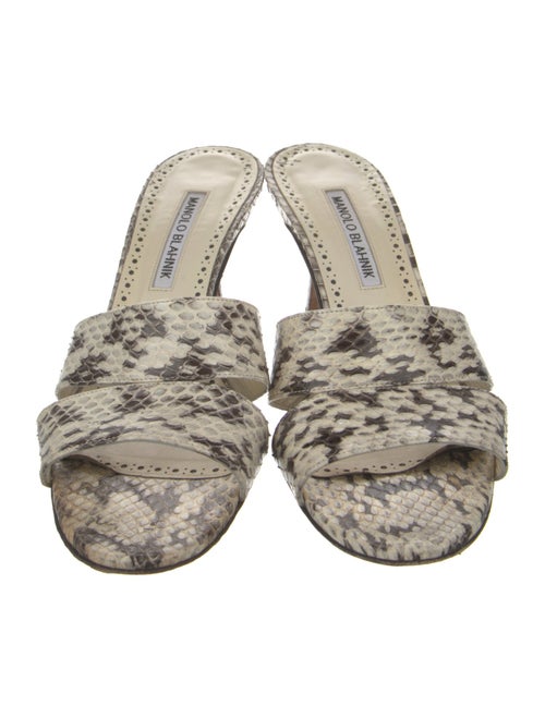 Manolo Blahnik Leather Animal Print Slides