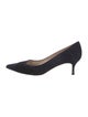 Manolo Blahnik Suede Pumps