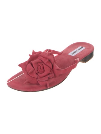 Manolo Blahnik Suede Floral Print Slides