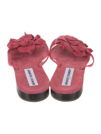 Manolo Blahnik Suede Floral Print Slides