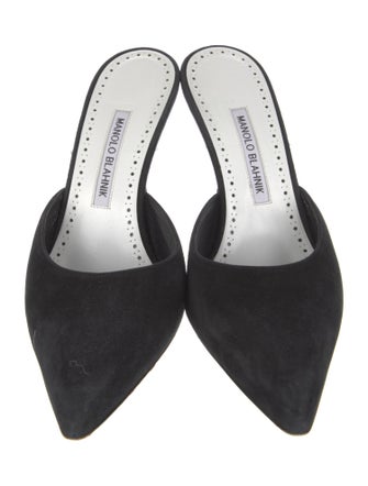 Manolo Blahnik Suede Mules