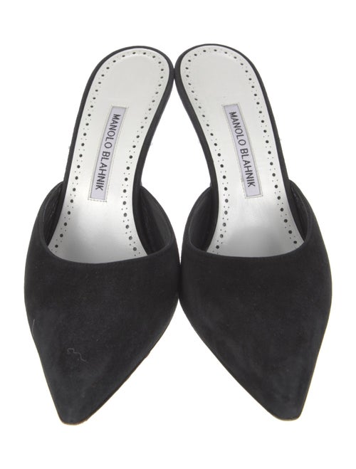 Manolo Blahnik Suede Mules
