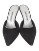 Manolo Blahnik Suede Mules