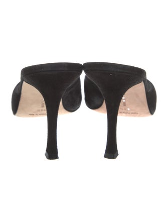 Manolo Blahnik Suede Mules