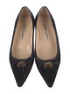 Manolo Blahnik Bow Accents Ballet Flats