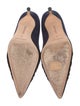 Manolo Blahnik Suede Pumps