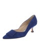 Manolo Blahnik Suede Pumps