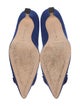 Manolo Blahnik Suede Pumps