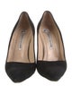 Manolo Blahnik Suede Pumps