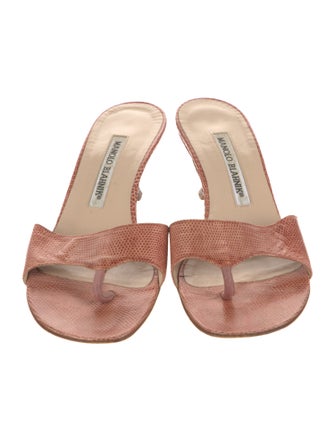 Manolo Blahnik Lizard Slides