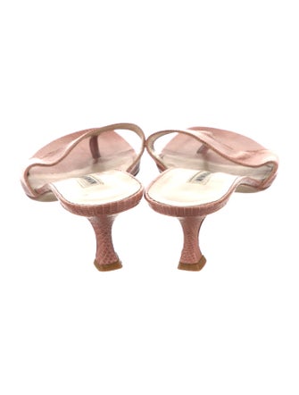 Manolo Blahnik Lizard Slides