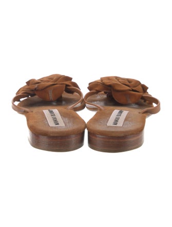 Manolo Blahnik Suede Slides