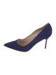 Manolo Blahnik Suede Pumps