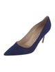 Manolo Blahnik Suede Pumps