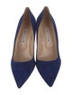 Manolo Blahnik Suede Pumps