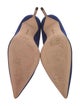 Manolo Blahnik Suede Pumps