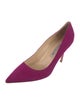 Manolo Blahnik Suede Pumps